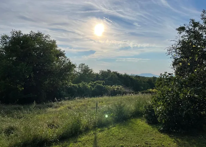 Terravino Retreat At Balaton *